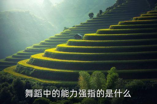 舞蹈能力指的是什么，舞力指的等级怎么区分的啊