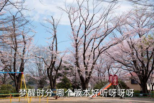 梦醒时分 哪个版本好听呀呀呀