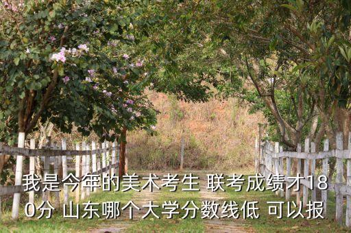 我是今年的美术考生 联考成绩才180分 山东哪个大学分数线低 可以报