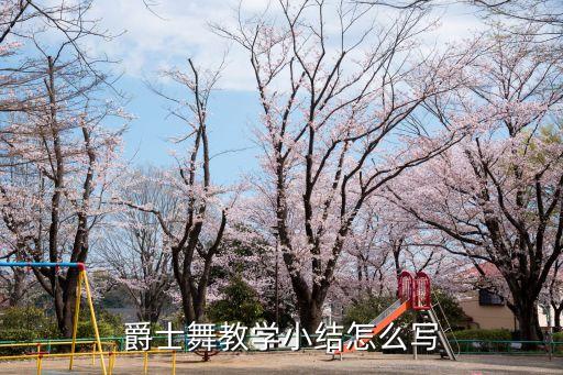爵士舞教学小结怎么写