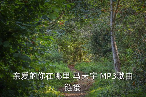 亲爱的你在哪里王子下载mp4，张权唱的亲爱的你在哪里在哪里能下到Mp3格式的