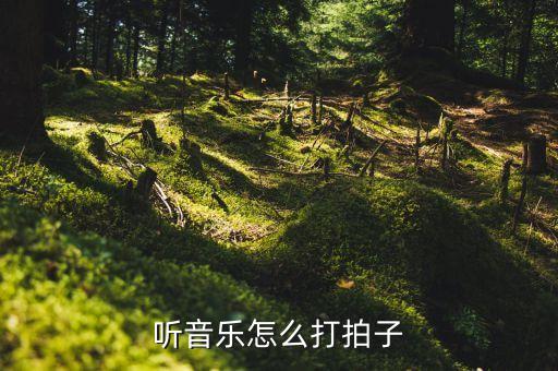 听音乐怎么打拍子
