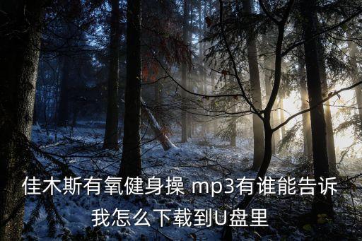 佳木斯有氧健身操 mp3有谁能告诉我怎么下载到U盘里