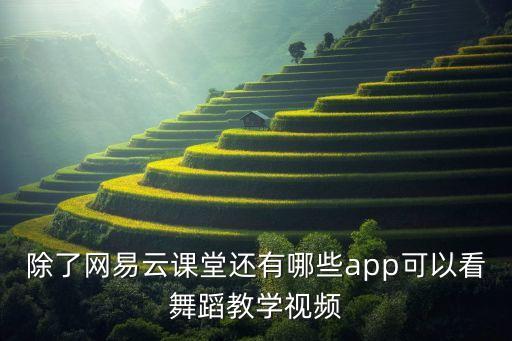 除了网易云课堂还有哪些app可以看舞蹈教学视频