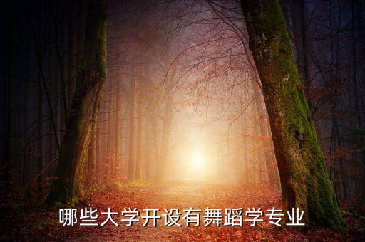 哪些大学开设有舞蹈学专业