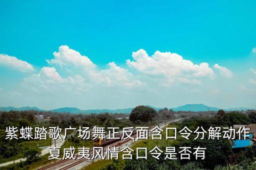 紫蝶踏歌广场舞正反面含口令分解动作夏威夷风情含口令是否有