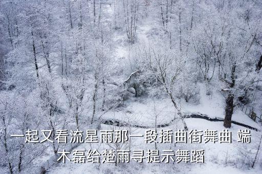 一起又看流星雨那一段插曲街舞曲 端木磊给楚雨寻提示舞蹈