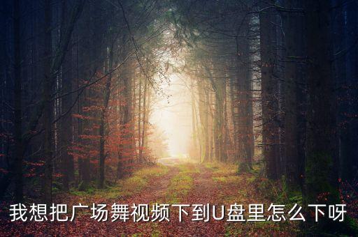 我想把广场舞视频下到U盘里怎么下呀