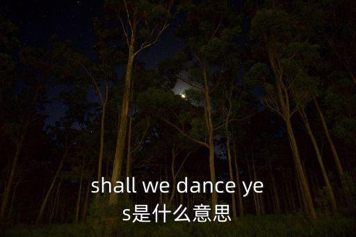 shall we dance yes是什么意思