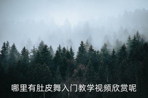 哪里有肚皮舞入门教学视频欣赏呢