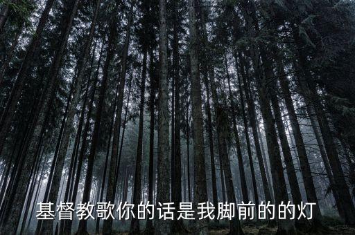 唱什么基督歌曲舞蹈视频，基督教有什么歌适合傣族舞蹈的