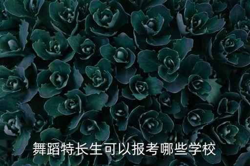 舞蹈特长生可以报考哪些学校