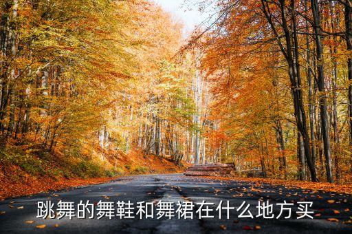 跳舞的舞鞋和舞裙在什么地方买