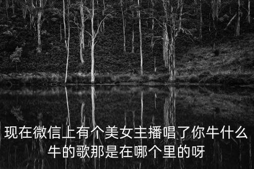 歌曲你牛什么牛视频，牛什么牛歌曲谁唱的