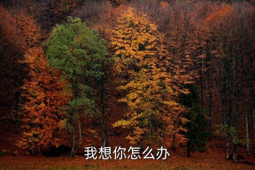 我想你怎么办