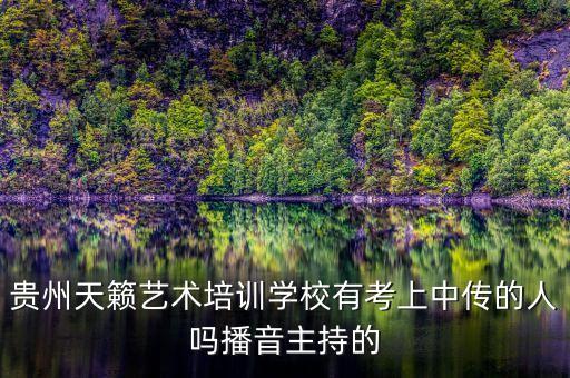 贵州天籁艺术培训学校有考上中传的人吗播音主持的