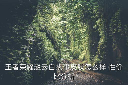 王者荣耀赵云白执事皮肤怎么样 性价比分析