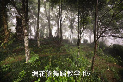 编花篮舞蹈教学 flv