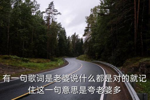 有一句歌词是老婆说什么都是对的就记住这一句意思是夸老婆多
