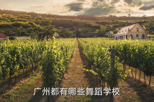 广州都有哪些舞蹈学校