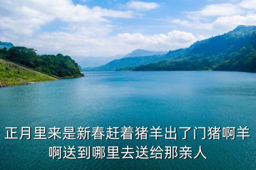 正月里来是新春赶着猪羊出了门猪啊羊啊送到哪里去送给那亲人