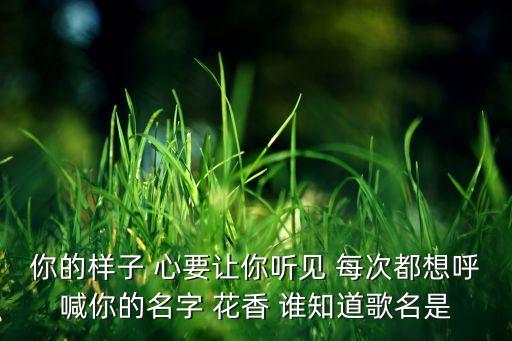 你的样子 心要让你听见 每次都想呼喊你的名字 花香 谁知道歌名是