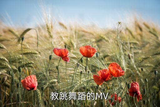 二年级有什么舞蹈视频教学视频下载，教跳舞蹈的MV