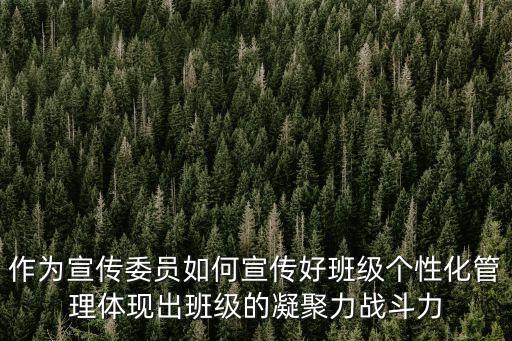 作为宣传委员如何宣传好班级个性化管理体现出班级的凝聚力战斗力