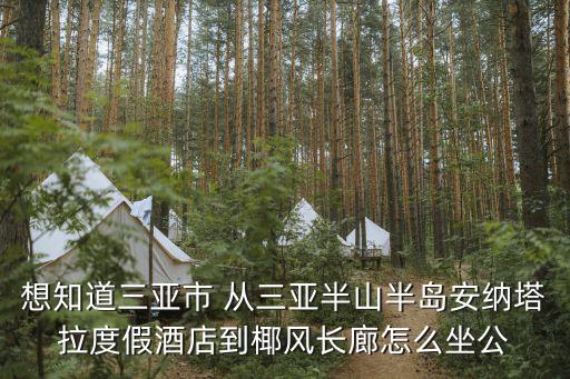 想知道三亚市 从三亚半山半岛安纳塔拉度假酒店到椰风长廊怎么坐公