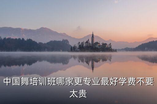 中国舞培训班哪家更专业最好学费不要太贵