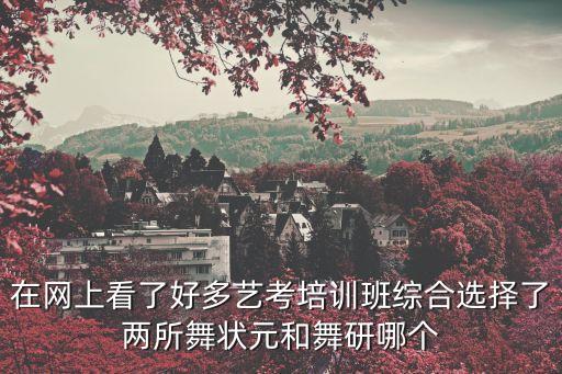 在网上看了好多艺考培训班综合选择了两所舞状元和舞研哪个