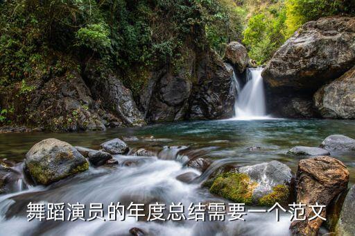 读舞蹈专业有什么工作总结，3个月实习期结束了舞蹈演员的工作总结怎么写呀好苦恼