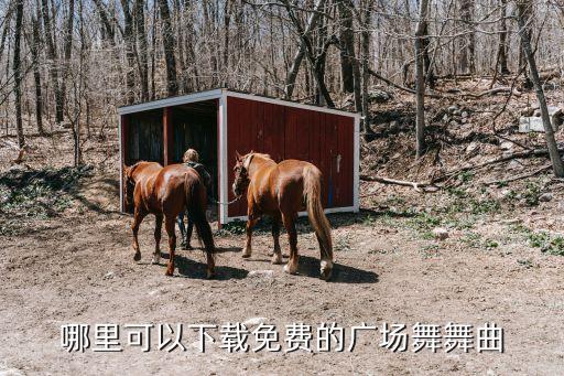 哪里可以下载免费的广场舞舞曲
