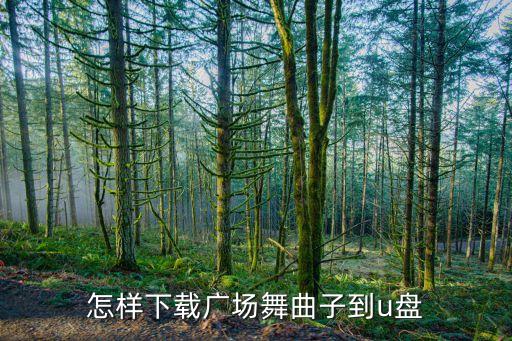 祝福歌广场舞怎么下载，怎样下载广场舞曲子到u盘