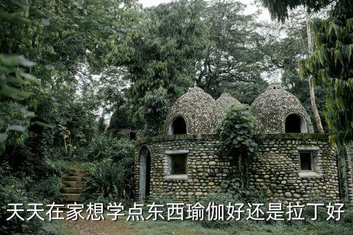 天天在家想学点东西瑜伽好还是拉丁好
