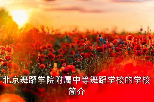 北京舞蹈学院附属中等舞蹈学校的学校简介