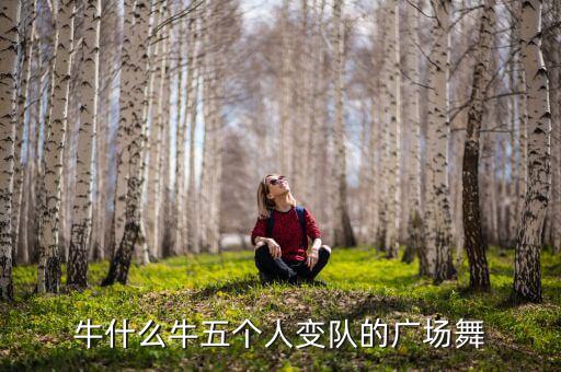 牛什么牛 广场舞，糖豆广场舞萱萱牛什么牛