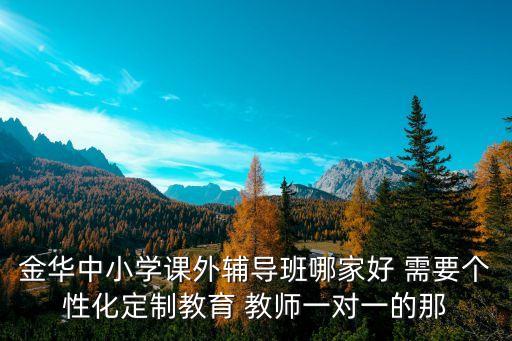 金华中小学课外辅导班哪家好 需要个性化定制教育 教师一对一的那