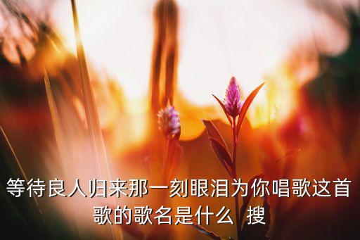 跳到北京的歌词是什么歌曲，等待良人归来那一刻眼泪为你唱歌这首歌的歌名是什么  搜
