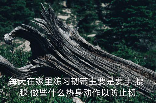 每天在家里练习韧带主要是要手 腰 腿 做些什么热身动作以防止韧
