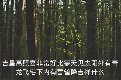 吉星高照喜非常好比寒天见太阳外有青龙飞宅下内有喜雀降吉祥什么