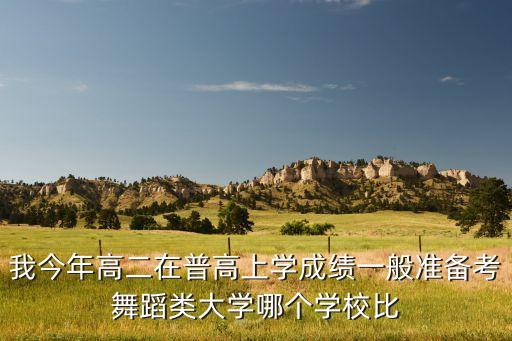 我今年高二在普高上学成绩一般准备考舞蹈类大学哪个学校比