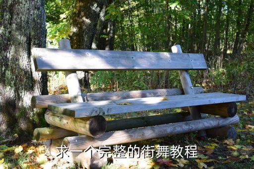 求一个完整的街舞教程