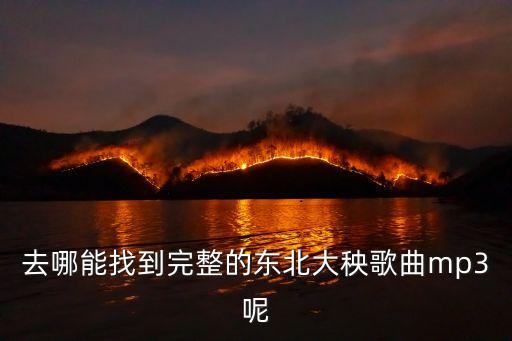 女东北秧歌的录音是什么，去哪能找到完整的东北大秧歌曲mp3呢