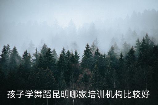 孩子学舞蹈昆明哪家培训机构比较好