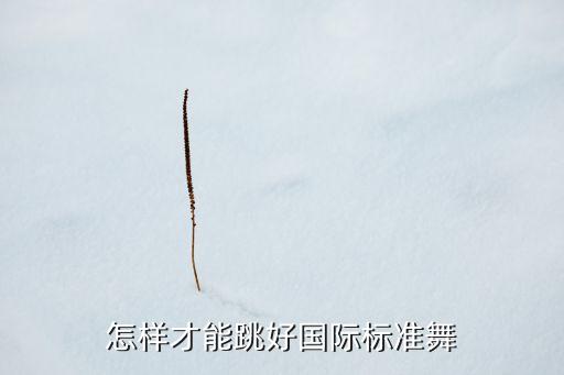 怎样才能跳好国际标准舞