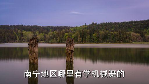 南宁地区哪里有学机械舞的