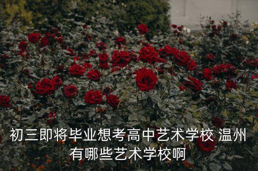 初三即将毕业想考高中艺术学校 温州有哪些艺术学校啊