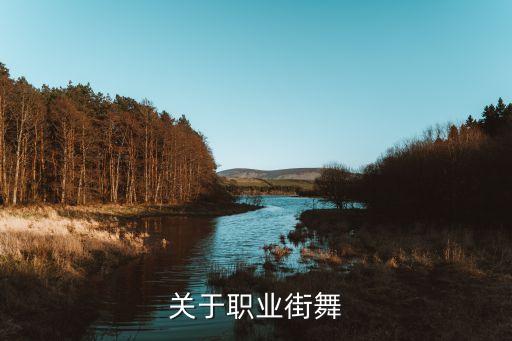 关于职业街舞