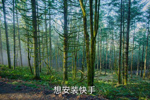 最新版本快手下载安装，怎样安装快手及速板